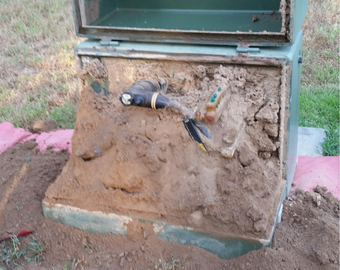 Huge ant farm in padmount